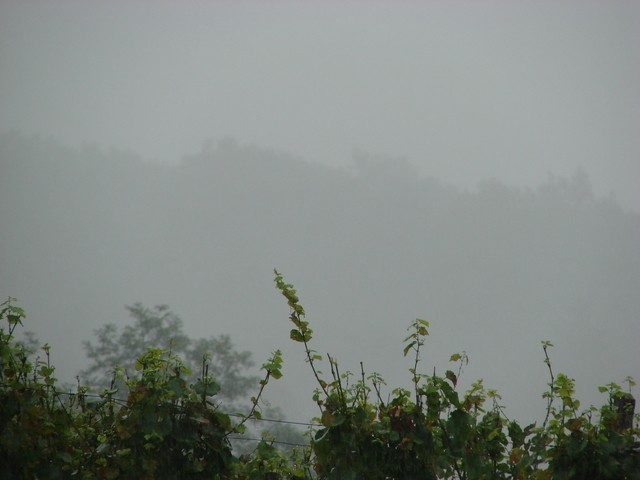 kišna zavjesa
